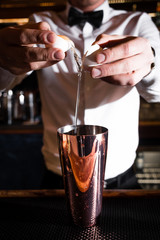 Cocktail bar bartender