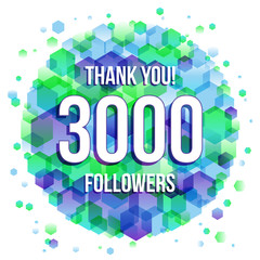 Thank you 3000 followers