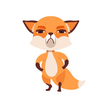 Skeptical fox character standing with paws in its waist, funny forest animal vector Illustration on a white background