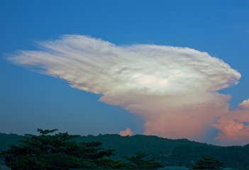 cloud-wing on the blue sky during sunset