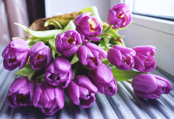 Тюльпаны - красивые цветы