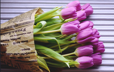 Тюльпаны на фотофоне