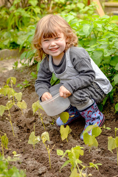 Enfant semant les graines.