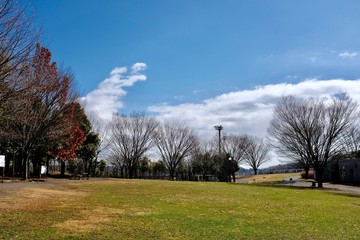 早春の公園