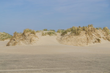 Dunes on the beach