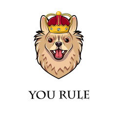Chihuahua dog wearing crown. Dog king. Vector illustration.