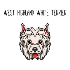 Vector dog West Highland White Terrier face icon flat design. Vector illustration.