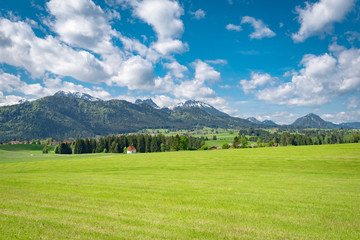 Fototapeta na wymiar Schönes Allgäu - sanfte Wiesenlandschaft vor den Alpen