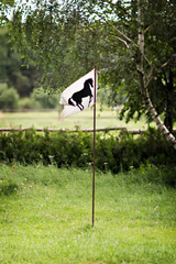 White flag with black horse