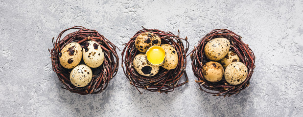 Easter quail eggs in nests on concrete background. Top view, space for text.