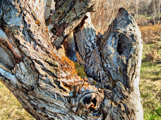 Исскуственное и Натуральное