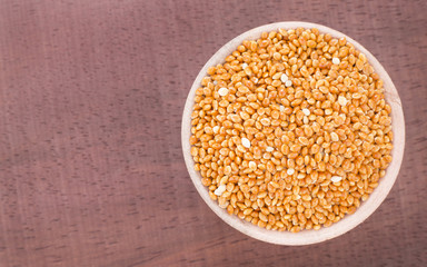 Red millet seed - Panicum miliaceum