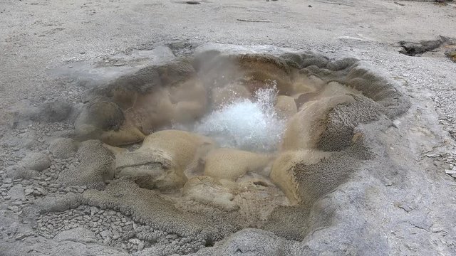 Shell Geyser of Biscuit Basin in Yellowstone NP, Wyoming, USA