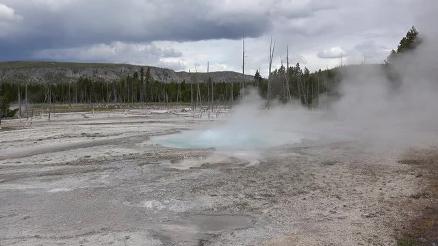 Spouter Geyser at the Black Sand Basin. Yellowstone NP, Wyoming, USA