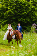 Beautiful newlyweds riding two horses