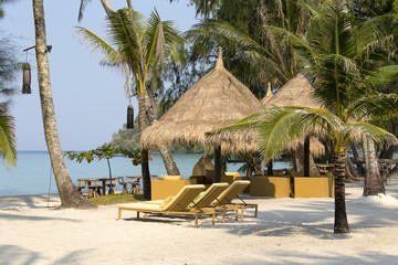 Sunbeds are on the tropical beach and palm trees, Thailand