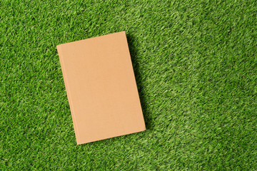 Old  book on green grass