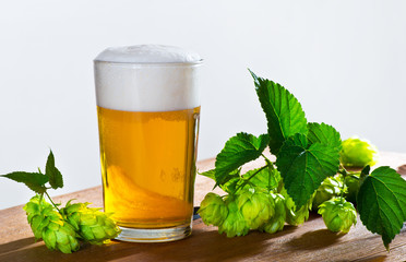 Glass of Beer with Hop Cones on the Desk