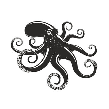 Octopus vector ocean seafood mollusc icon