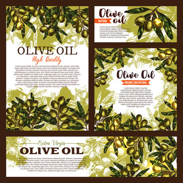 Vector olive oil product olives poster