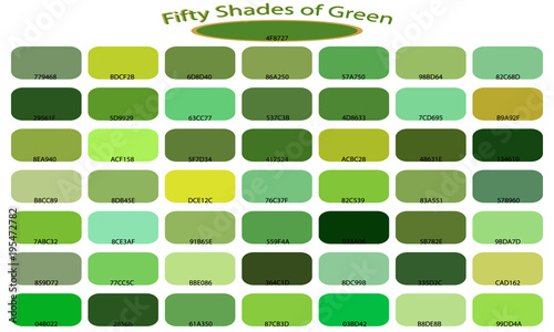 50 Shades Of Green Color Isolated On White Background Tones 50 Shades Of Green Color Isolated On White Background Tones And