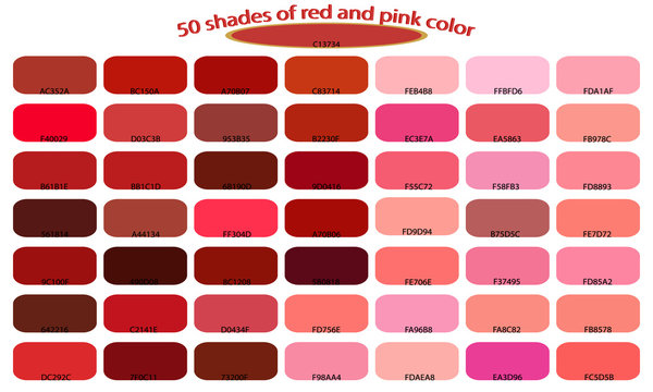 50 shades of red pink colors isolated on white background. Red and pink  tones and shades. Color backgrounds with codes. Vector illustration of  palette. Stock Vector