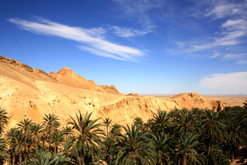 Fototapeta na wymiar An oasis in the desert, palm trees, mountains