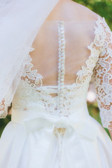 The back of the bride in a wedding dress. Details closeup.