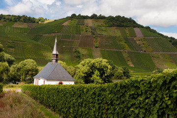 Kappelle inmitten von Weinbergen bei Neumagen