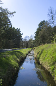 Laesoe / Denmark: Ditch along a small country road in Bangsbo in springtime