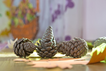 Fallen pinecone on the floor . Pine cone with branch fallen on the ground . fallen pine cone sitting in bed of pine needless .