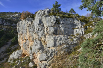 CLIFF OF GORGES DU TARN, LOZERE, FRANCE