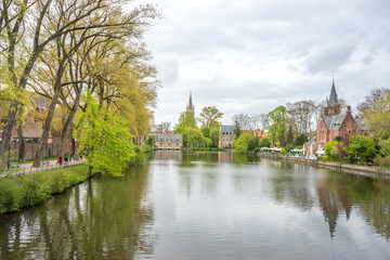 Beatitiful tree with green leaves overlooking the lake of love, Minnewater lake at Brugge, Belgium, Europe