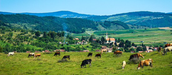 Obraz premium Pastural Landscape of Romania