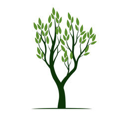 Obraz premium Green Spring Tree with Leaves. Vector Illustration.
