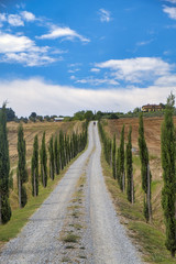 Fototapeta na wymiar Tuscany: the road to Torre a Castello