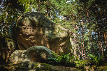 "Stone town'' - nature reserve in Poland
