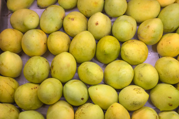 Fresh yellow raw manggoes display for sale at market