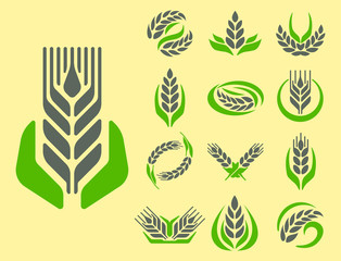 Cereal ears and grains agriculture industry or logo badge design vector food illustration organic natural symbol