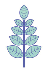 leaves branch decoration natural image vector illustration green pastel image