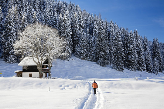 AUT/Tyrol, Gerlos