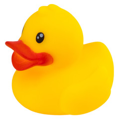 Yellow rubber duck isolated on white background