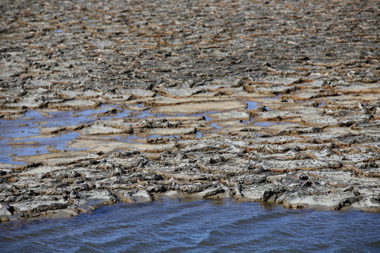 Dried mud in a pond of Camargue, Provence in the south of France