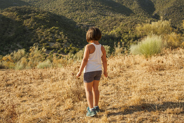 Rear view kid going for a walk in the farm. Nature Lanscape