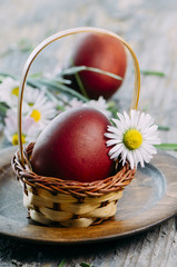 Easter Eggs and daisy flower