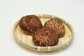 椎茸