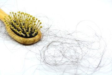 Comb with hair, hair fall everyday serious problem, on white background.