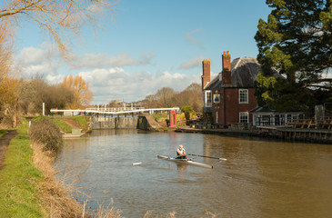 The Rower