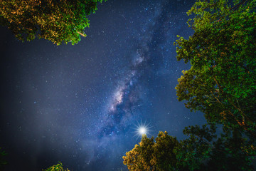 Landscape with Milky way galaxy. Night sky with stars and silhouette trees. Long exposure photograph.