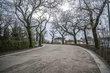 Park, Parque de la Alameda in winter, Santiago de Compostela, Galicia, Spain.